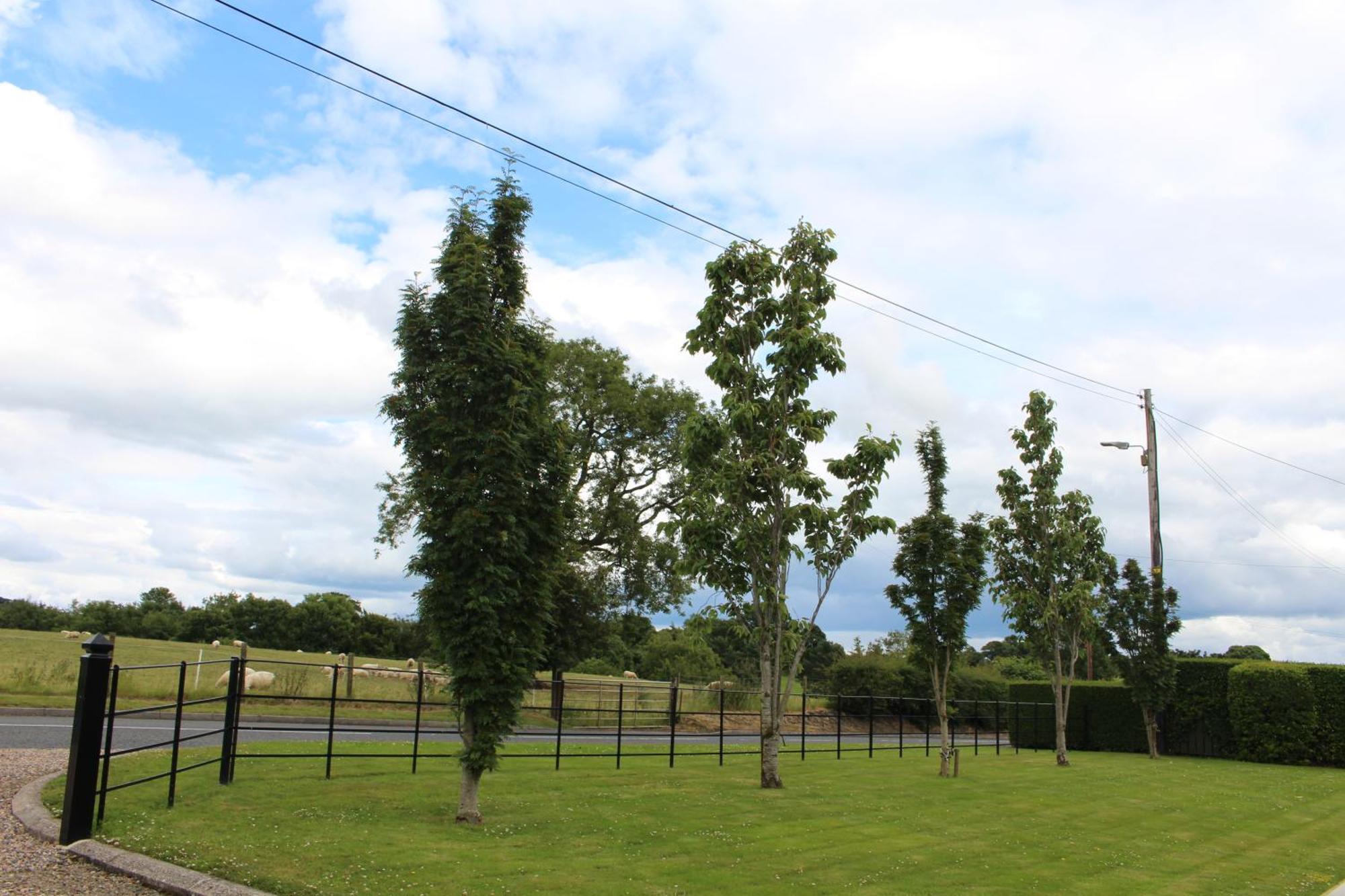 Contemporary Countryside Home Dromore  Esterno foto